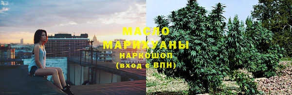 дмт Алзамай