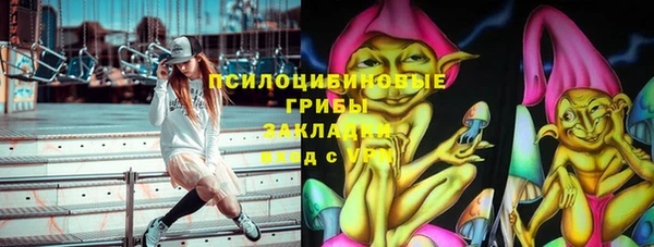 дмт Алзамай